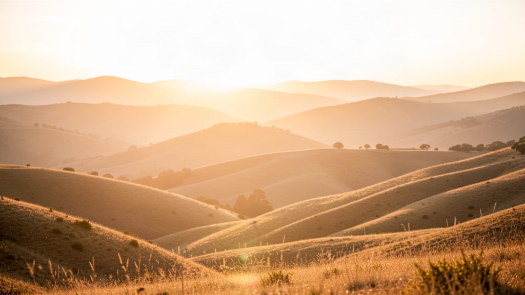 Rolling hills glowing under a golden sunrise